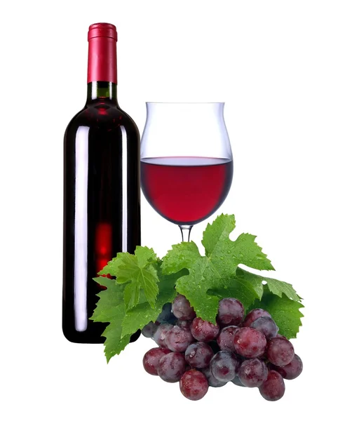 Red vine Stock Image