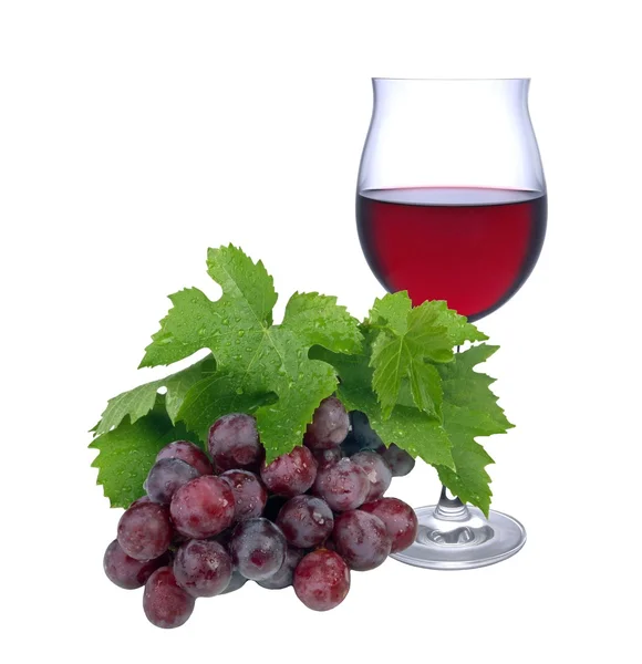 Red vine Stock Image