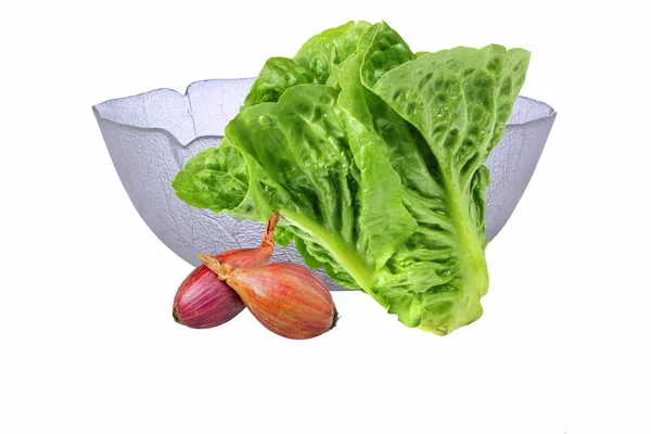 Insalata — Foto Stock