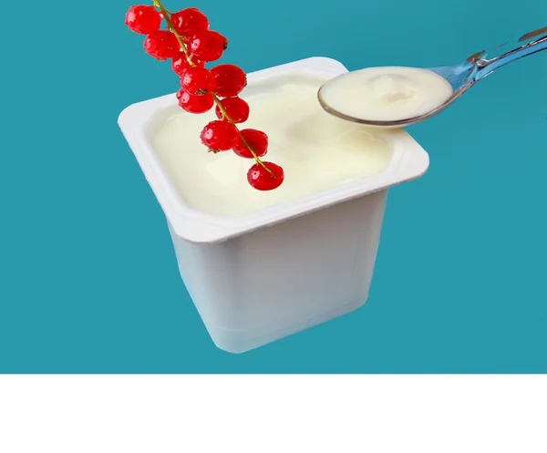 Yogurt — Stock Photo, Image