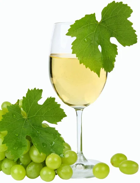 Vino blanco — Foto de Stock