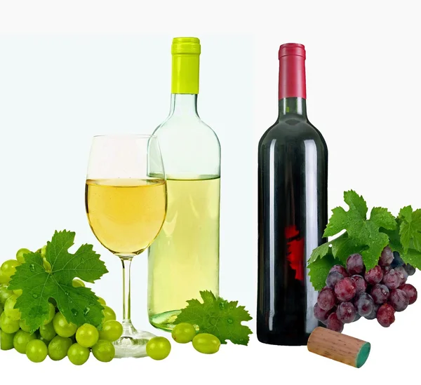 Vino tinto y blanco — Foto de Stock