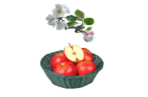 Apples — Stock Photo, Image