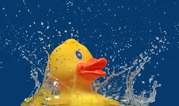 Quitschente-Duck-Splash — Stock Photo, Image
