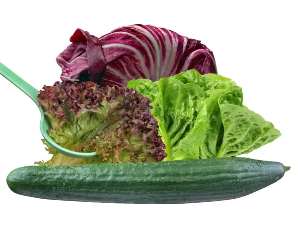 Salat – stockfoto