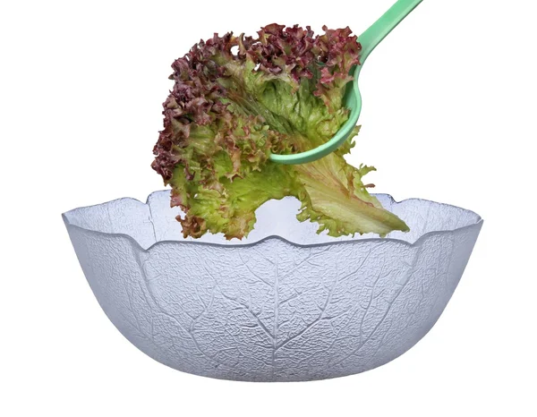 Insalata — Foto Stock