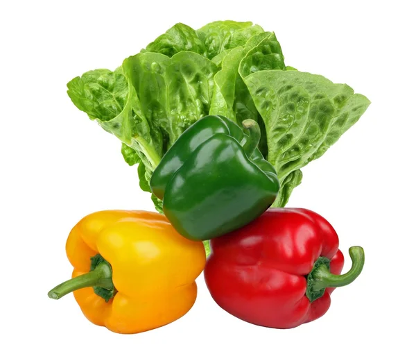 Salad — Stock Photo, Image