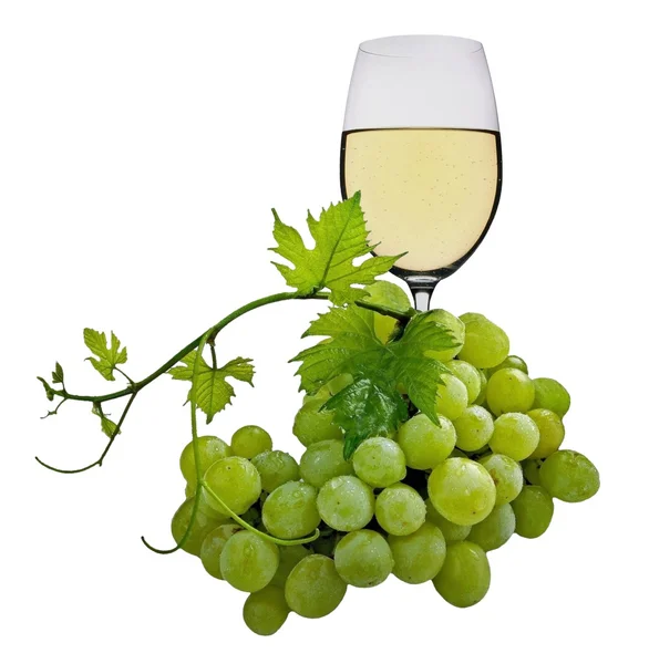 Vino blanco — Foto de Stock