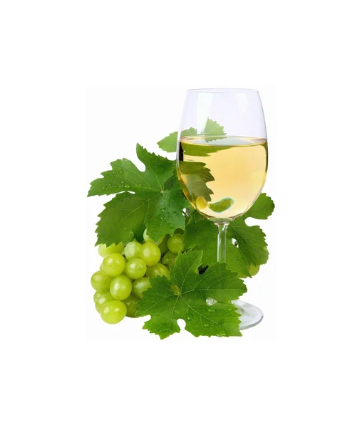 Weißwein — Stockfoto