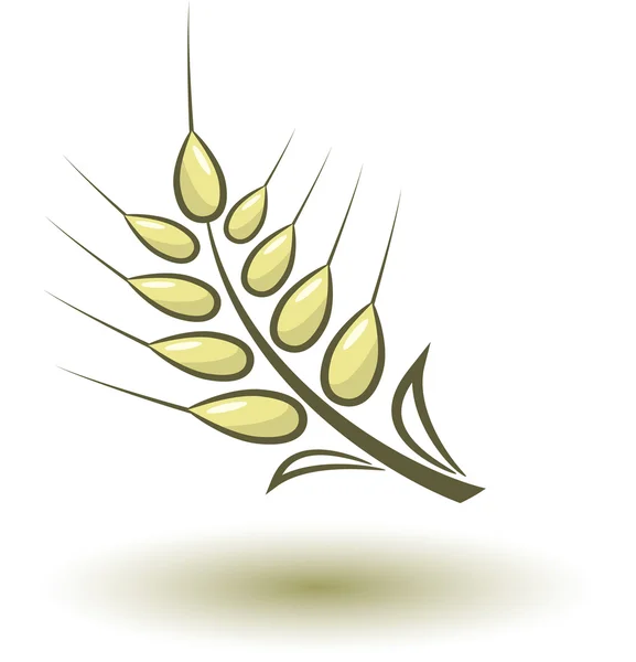 抽象小麦 — 图库矢量图片