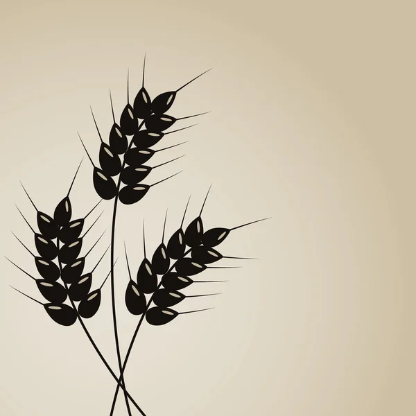 Fond de blé — Image vectorielle