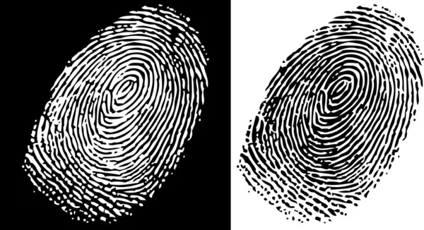 Fingerprint — Stock Vector