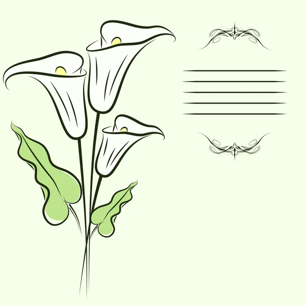Callas fond — Image vectorielle