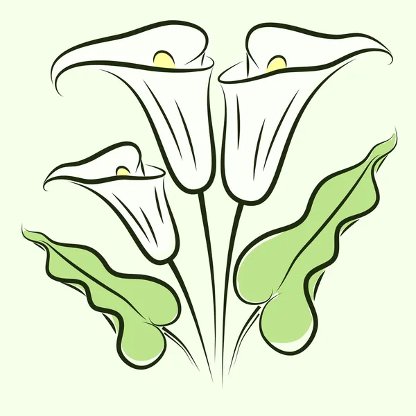 Calla lily color — Stock Vector