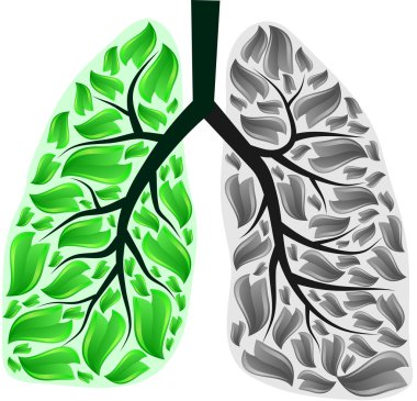 Lungs in danger