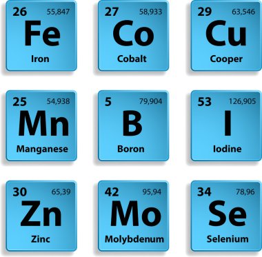 microelements mavi düğme Tarih