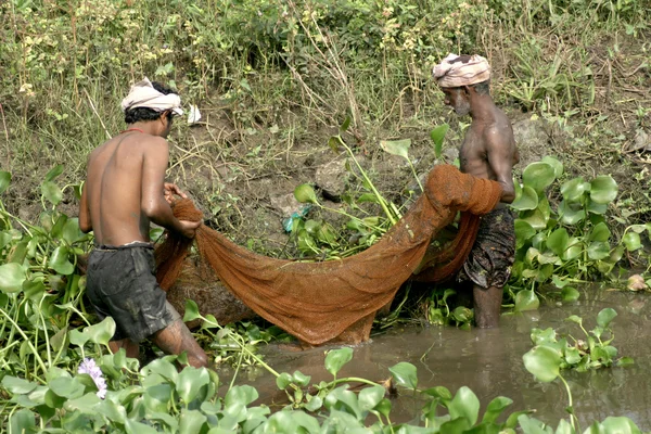 भारतीय मच्छिमारांनी सिंचन कालव्यात मासे पकडले — स्टॉक फोटो, इमेज