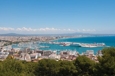 bir Palma de mallorca marina gioca