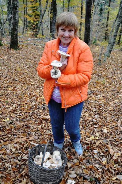 Mulher em uma floresta com cogumelos — Fotografia de Stock