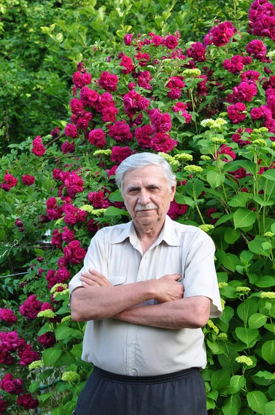 Starý muž zahradník — Stock fotografie