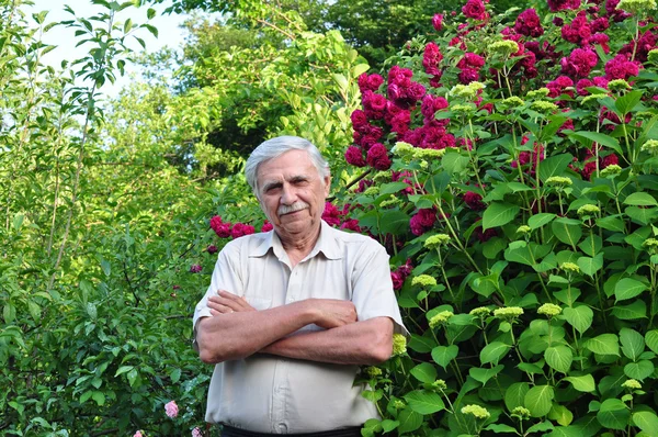 Vecchio giardiniere maschio — Foto Stock