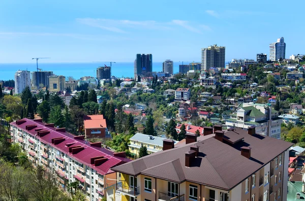 Sochi, Rusya Federasyonu — Stok fotoğraf