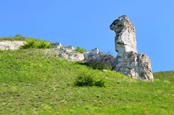 Cretaceous outcrops in narure reserve "Divnogorie", Russia — Stock Photo, Image