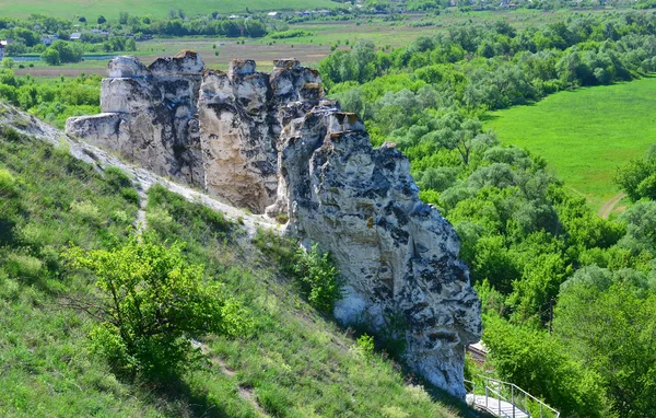 Wychodnie kredy w narure rezerwat "divnogorie", Rosja — Zdjęcie stockowe