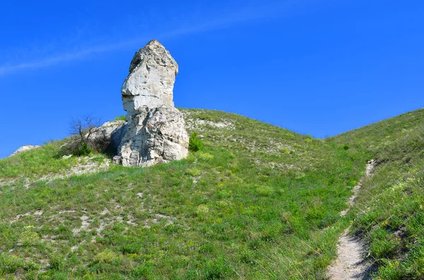 Φύση αποθεματικό "divnogorie", περιοχή voronezh Ρωσία Royalty Free Εικόνες Αρχείου