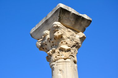 Chersonesos. Antik Yunan sütun, Sevastopol.