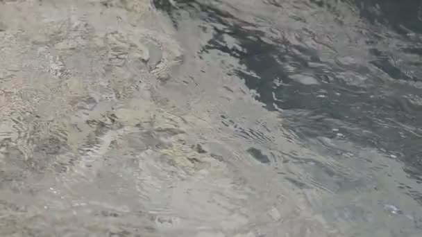 Temiz su derin dağ Nehri — Stok video
