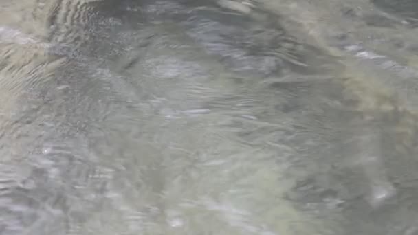 Eau propre de la rivière de montagne profonde 