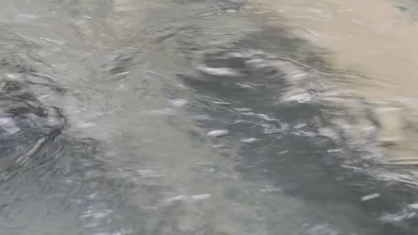 Clean water of deep mountain river — Stock Video