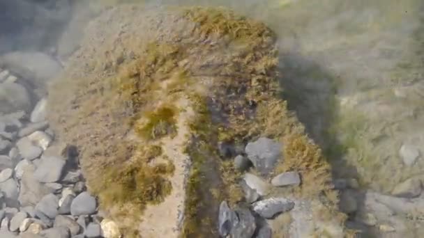 Víz alatti imbolygott nagy kő — Stock videók