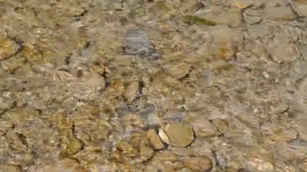 Water flow in the river in shallow water — Stock Video