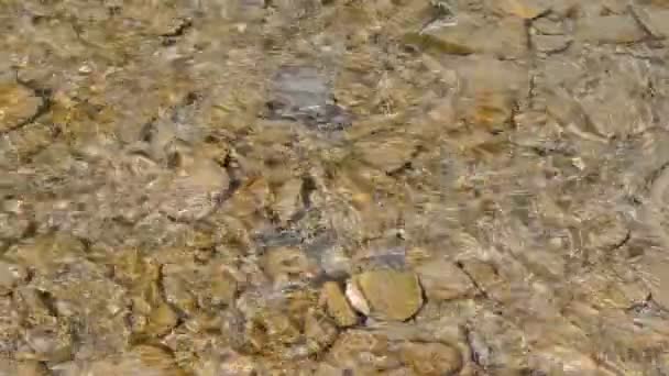 Débit d'eau dans la rivière en eau peu profonde 