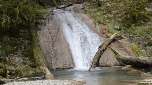 Wasserfall im Nationalpark Sotschi, Russland — Stockvideo
