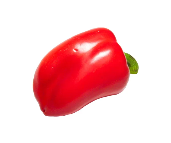 Paprika sobre fondo blanco — Foto de Stock