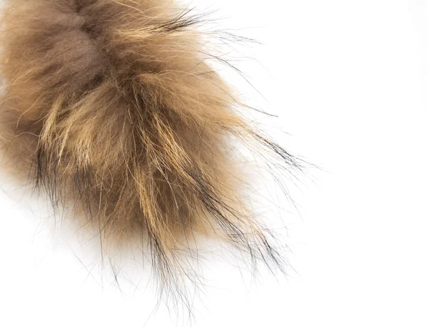Beyaz arka plan üzerinde kürk