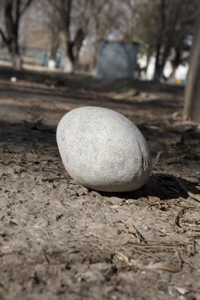 Una gran piedra redonda en el suelo —  Fotos de Stock