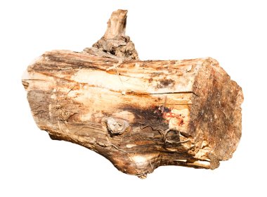 alan beyaz, sığ derinliği oturum