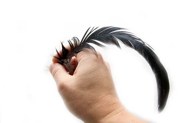 Escritura a mano con una pluma sobre un fondo blanco — Foto de Stock