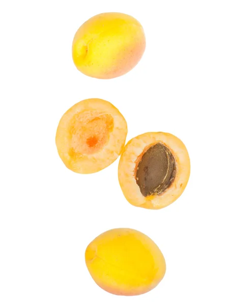 Apricot on white background — Stock Photo, Image