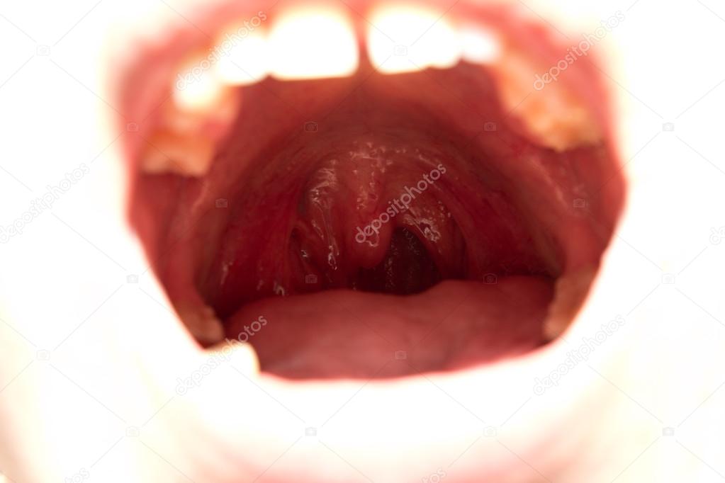 human's mouth