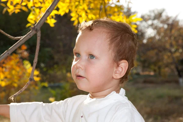 Hintergrund — Stockfoto