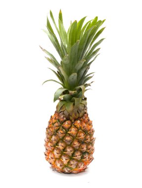 Arkaplan