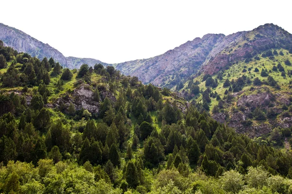 Hintergrund — Stockfoto