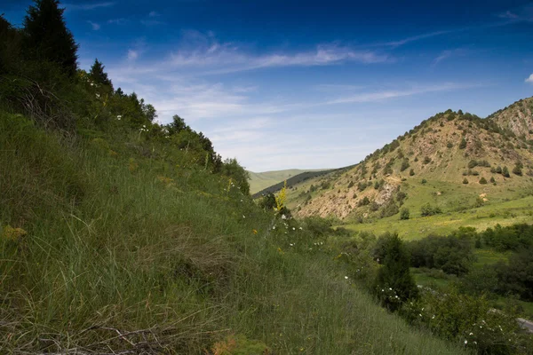 Bakgrund — Stockfoto