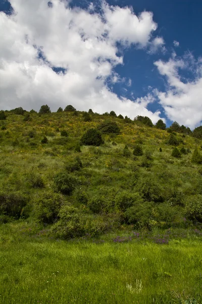 Arkaplan — Stok fotoğraf