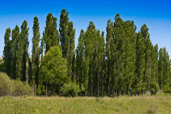 Hintergrund — Stockfoto